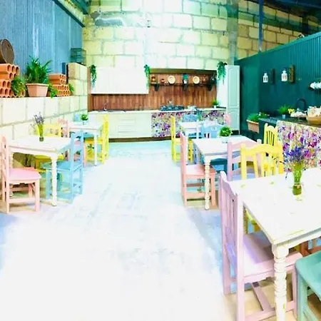 Tatil parkı Serendipia Natural Social Club *